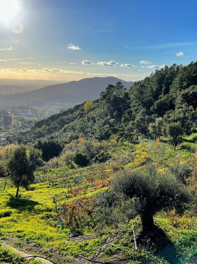 Quinta Altamira Daire Portalegre Dış mekan fotoğraf