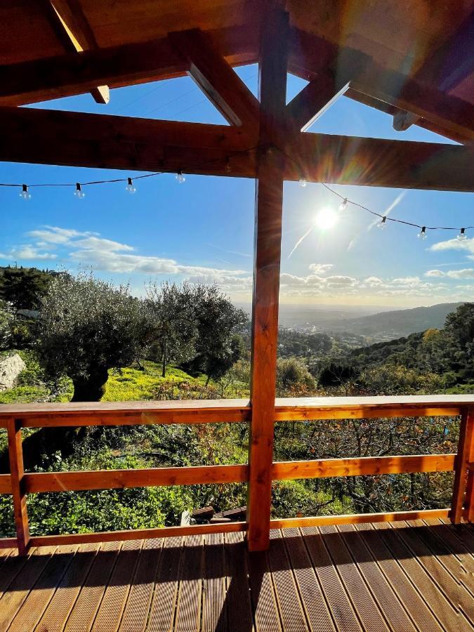 Quinta Altamira Daire Portalegre Dış mekan fotoğraf